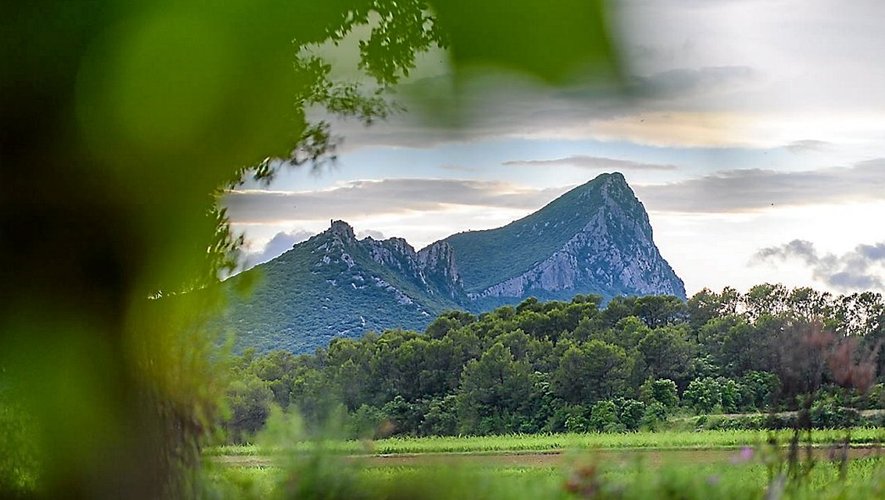 pic-saint-loup-midi-libre